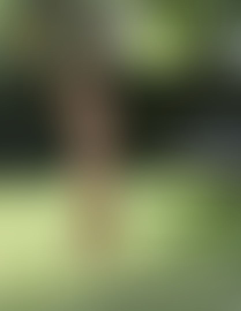 Mowing the lawn 🌱 by @steveshaw 