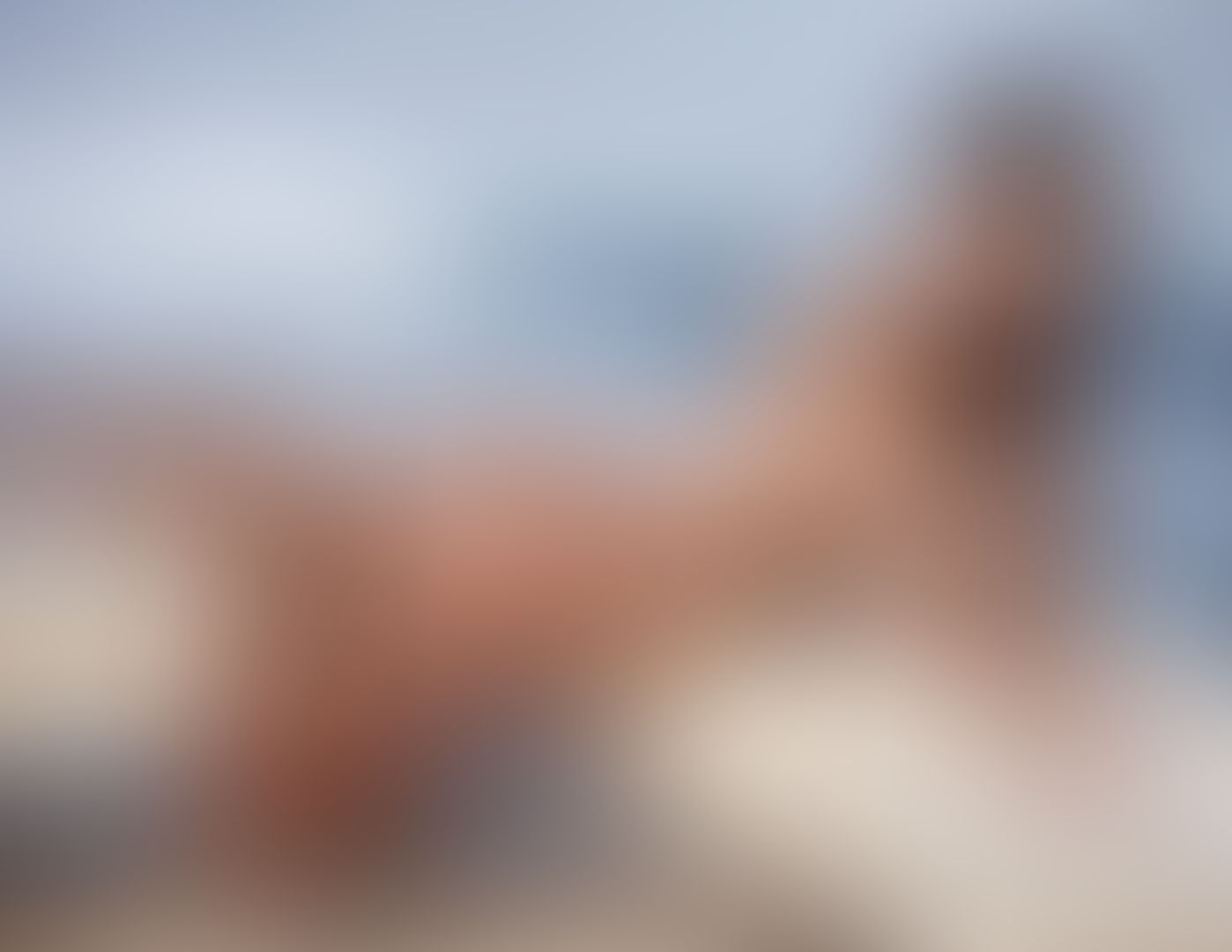 Rachel Cook - NU Muses 